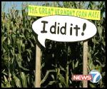 Corn Maze